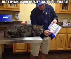you are getting too fat funny picture