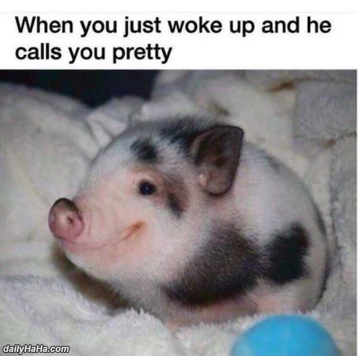 you just woke up funny picture