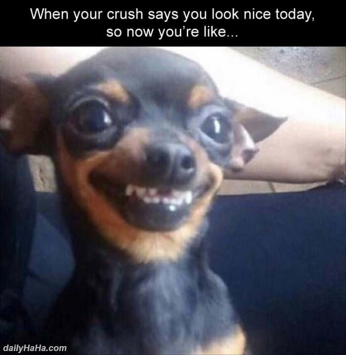 you look nice today funny picture