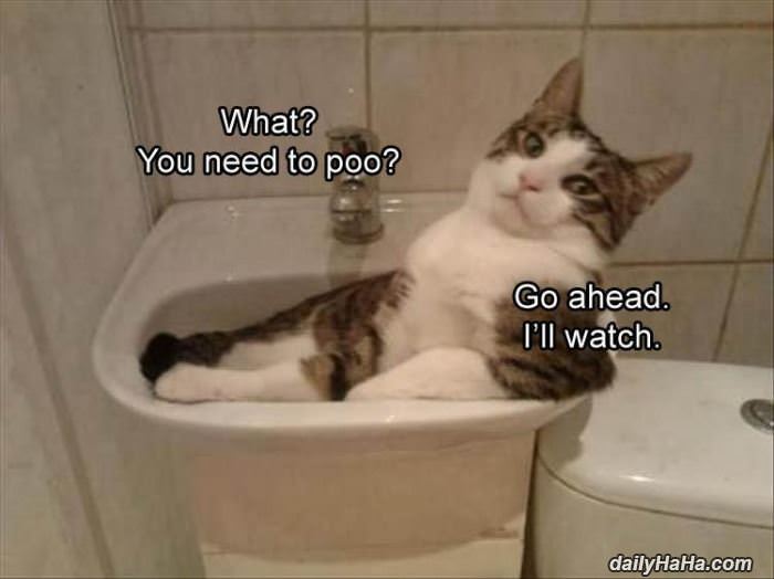 you need to pee funny picture
