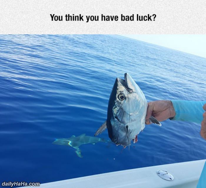 you think you have bad luck funny picture