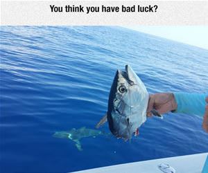 you think you have bad luck funny picture