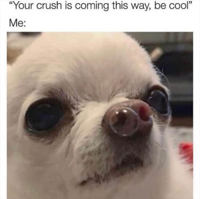your crush is coming this way