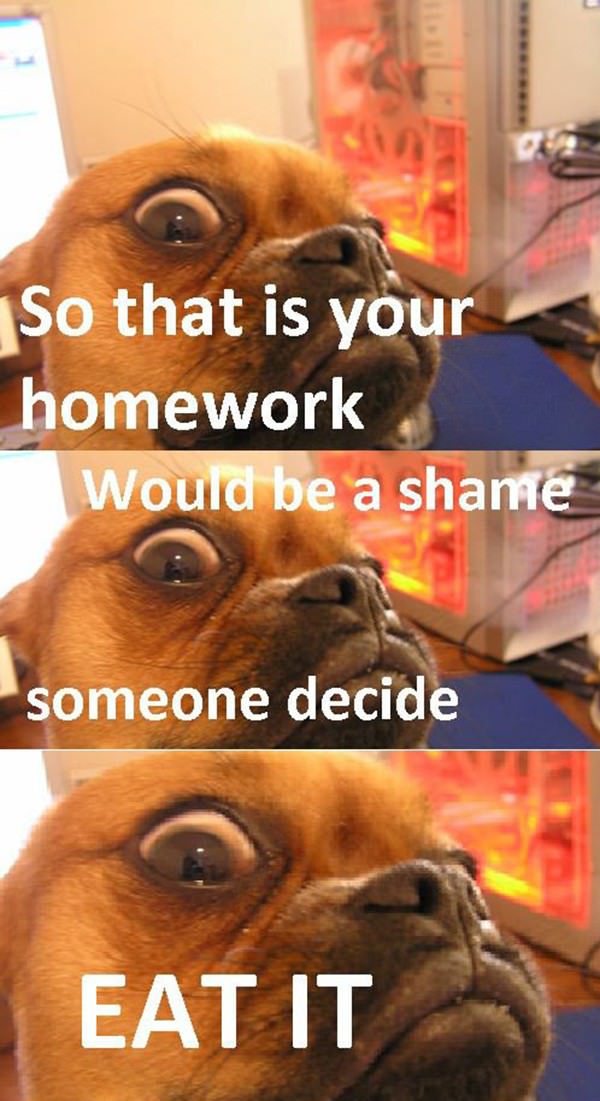 Your Homework funny picture