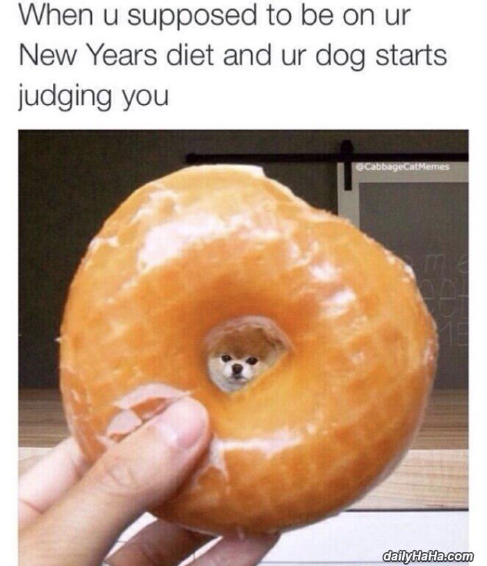 your new years diet funny picture