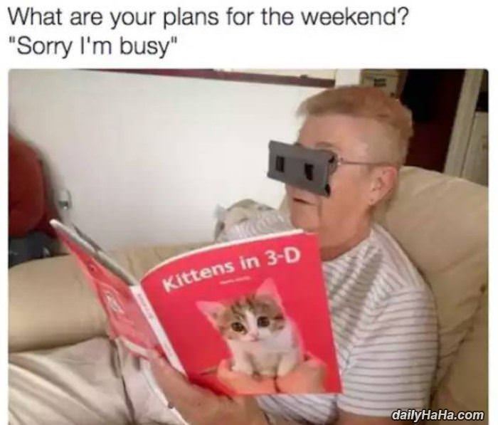 your plans for the weekend funny picture