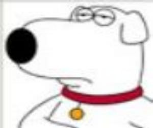 Brian Griffin from Family Guy