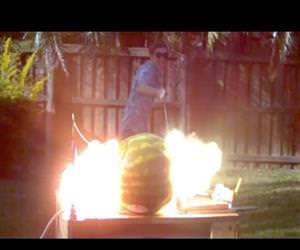 20k volts into a watermelon Funny Video