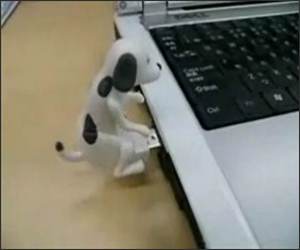 Humping Dog USB