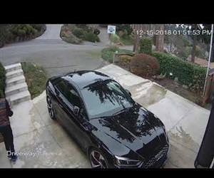 Package thief caught by cool neighbor Funny Video