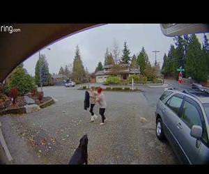 Woman Catches Crook Stealing Package from Her Home Funny Video