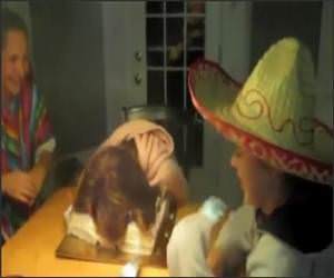Birthday KO cake Funny Video