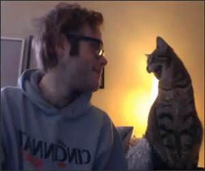 Cat Bonding Funny Video
