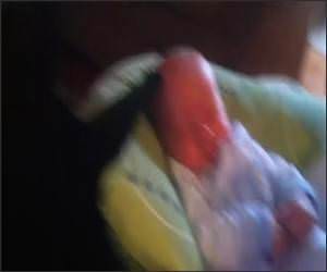 Cat stops baby crying Video