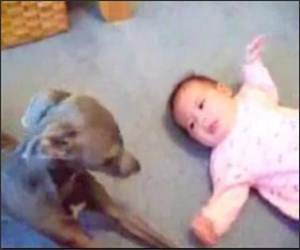 Crying Baby and Dog