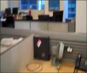 Cubicle Life Funny Video