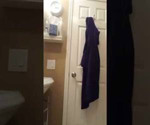 dad asks son for help wiping Funny Video