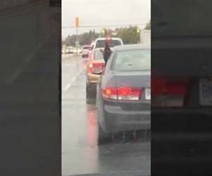 dog eating raindrops out of a car Funny Video