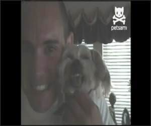 Dog Immitating Man Funny Video