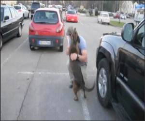 Dog Welcomes Soldier Funny Video