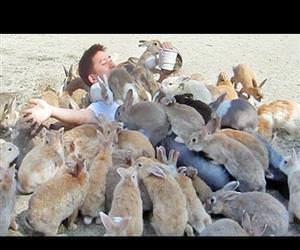 man is smothered by bunnies Funny Video