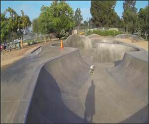 Pro Skate Boarding Dog Funny Video