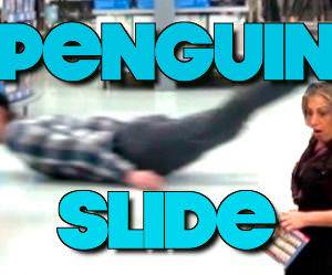 The Penguin Slide Funny Video