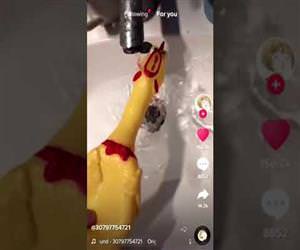 the sound of a rubber chicken drowning Funny Video