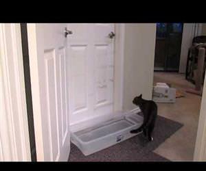this awesome cat opening doors Funny Video