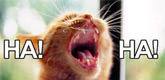 Funny Images