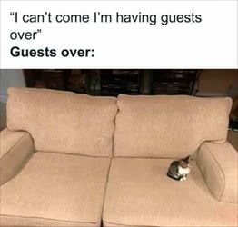 guests over