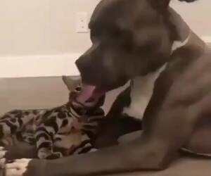 first time doing this