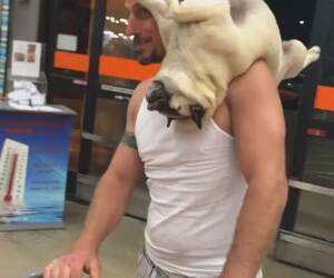 this dog wants to be a parrot