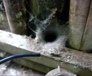 uhmmmm going to stay away from there