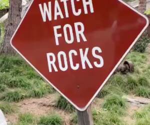 watch out for rocks