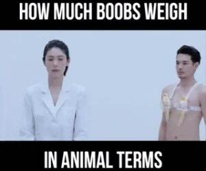 how much do the boobs weigh