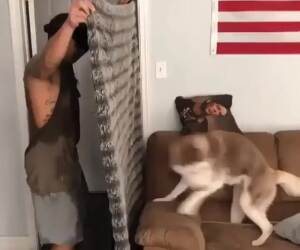 whoa whoa where did he go