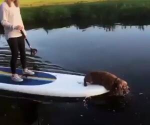 helping with the paddling