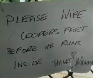 please wipe coopers feet