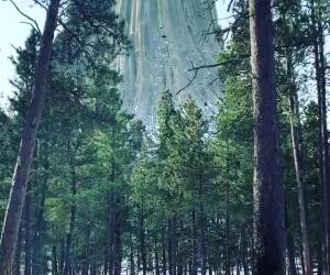 the devils tower  wyoming