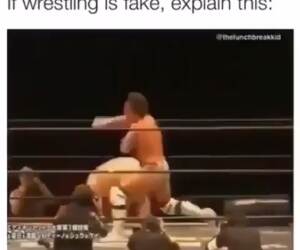 wrestling cannot be fake