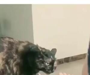 cmon wash those stinky things