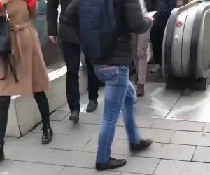 this cat does not care