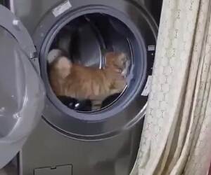 getting in some steps