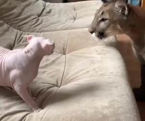 time for you to back off