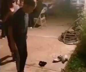 whoa how did you do that