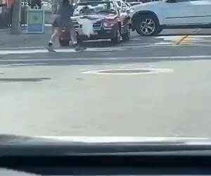 just walking his bird