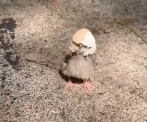 let me help you out buddy