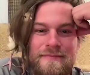 ever have a baby chicken fall asleep in your hair