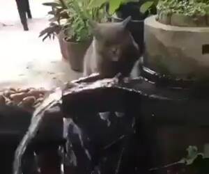 that is one weird way to drink